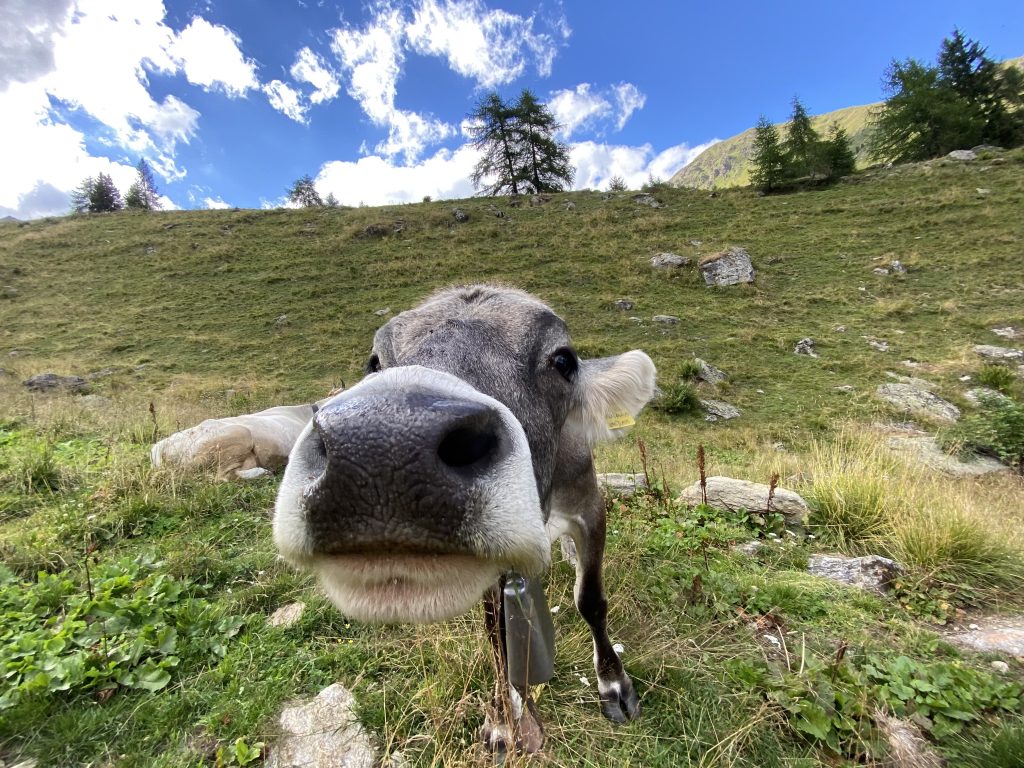 Escursione al Lago Trenta nel Gruppo delle Maddalene